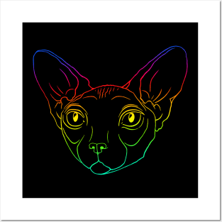 Mr. Rainbow sphynx cat Posters and Art